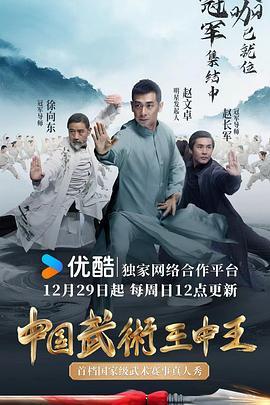 中国武术王中王